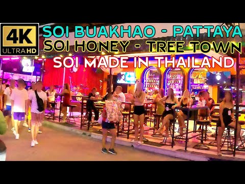Pattaya Night Scenes Soi Buakhao Soi Honey Tree Town Soi Made in Thailand Soi New Plaza 2023Thailand