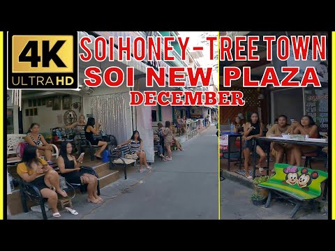 Pattaya Soi Honey(11)  Soi 9 (Tree Town) Soi New Plaza – December Thailand 4K Ultra HD